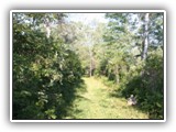 bike tour @ bog rail trail in Saratoga