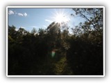bike tour @ bog rail trail in Saratoga