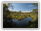 bike tour @ bog rail trail in Saratoga